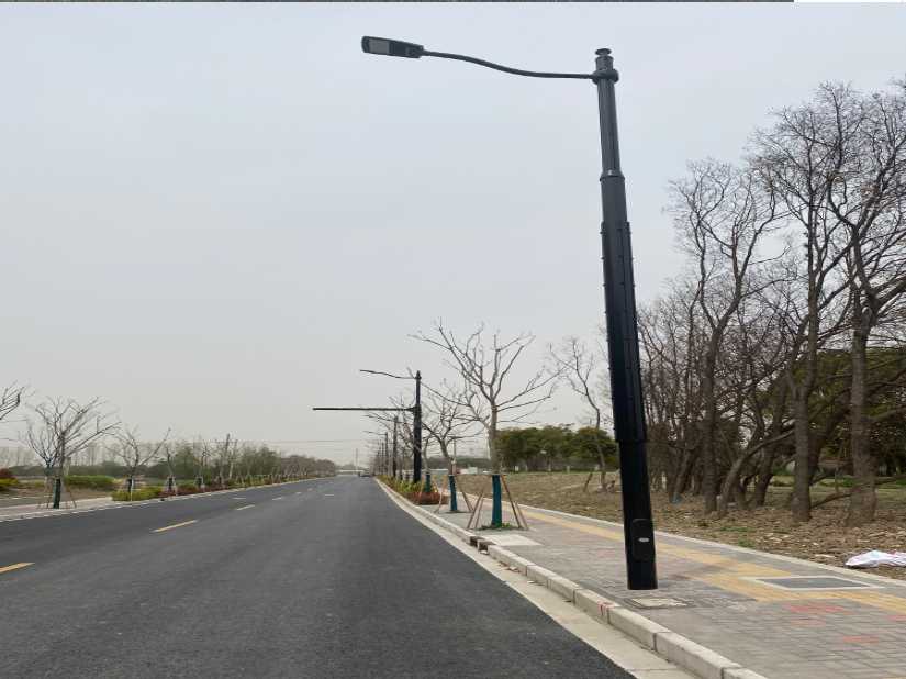 甘德县上海综合杆 太阳能路灯工程